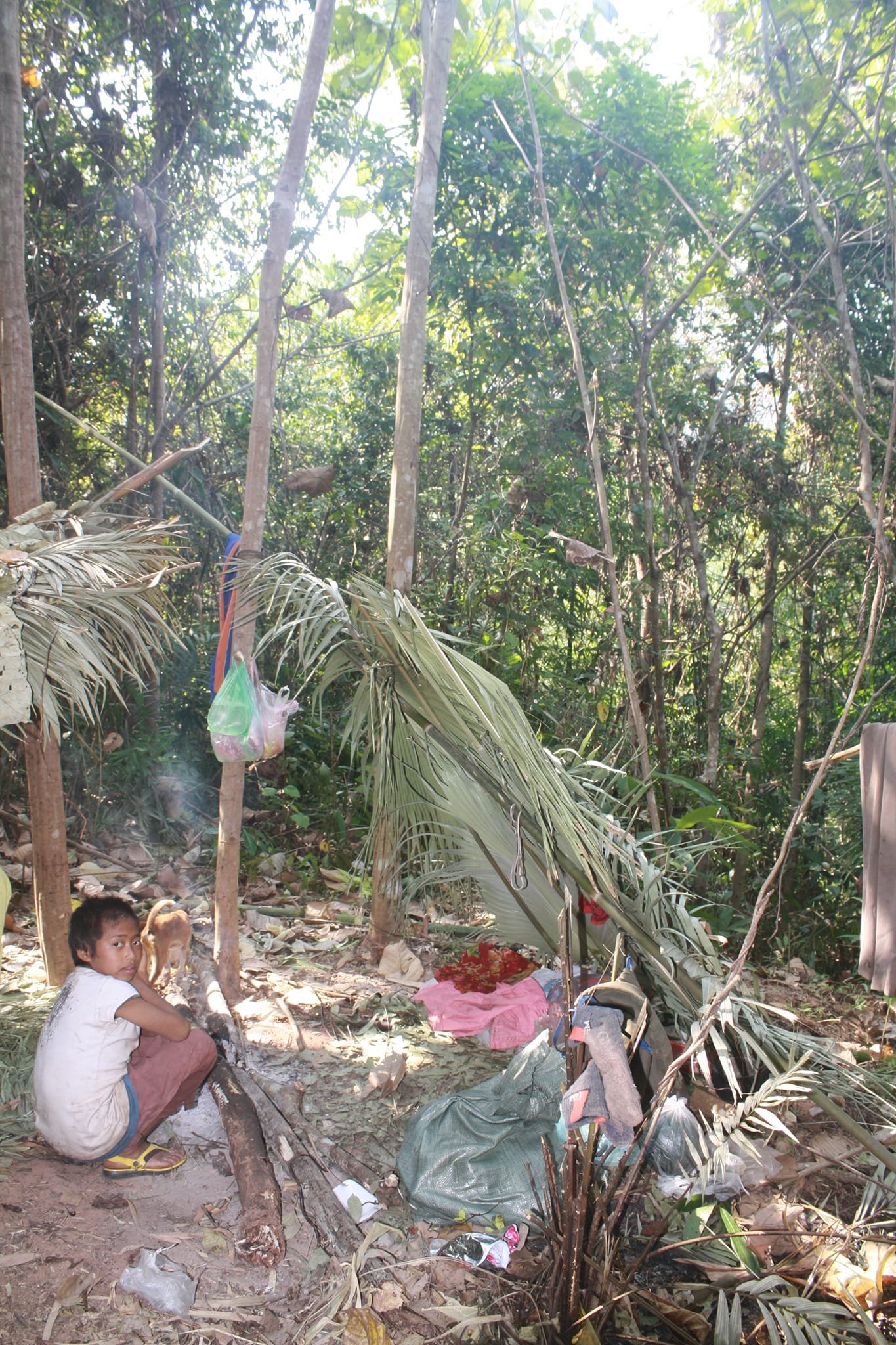 2 Days Trekking To Tribal villages of Phounoi and Akha Oma